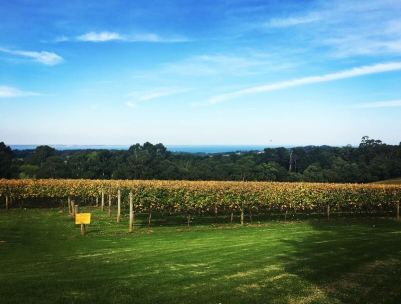 Yarra Valley and Dandenong Ranges: Scenic Bus Tour and Lunch - Detailed Breakdown of the Day
