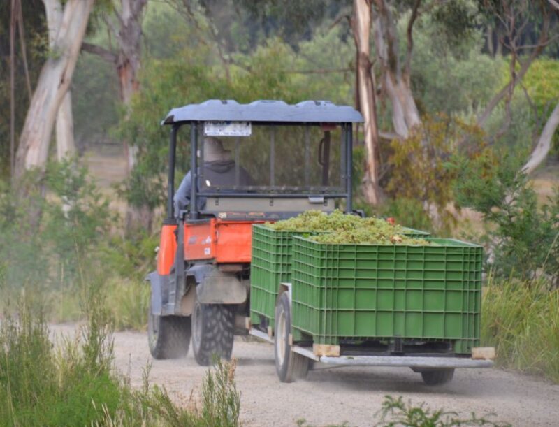Yarra Valley: Bus Wine Tour with Lunch and a Glass of Wine - Final Thoughts: Who Will Enjoy This Tour?
