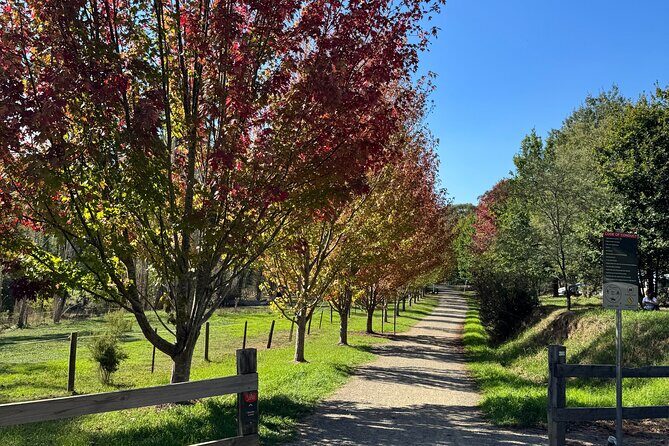 Yarra Valley Foodie Tour, Devonshire Tea, Cheese and Chocolate - FAQ