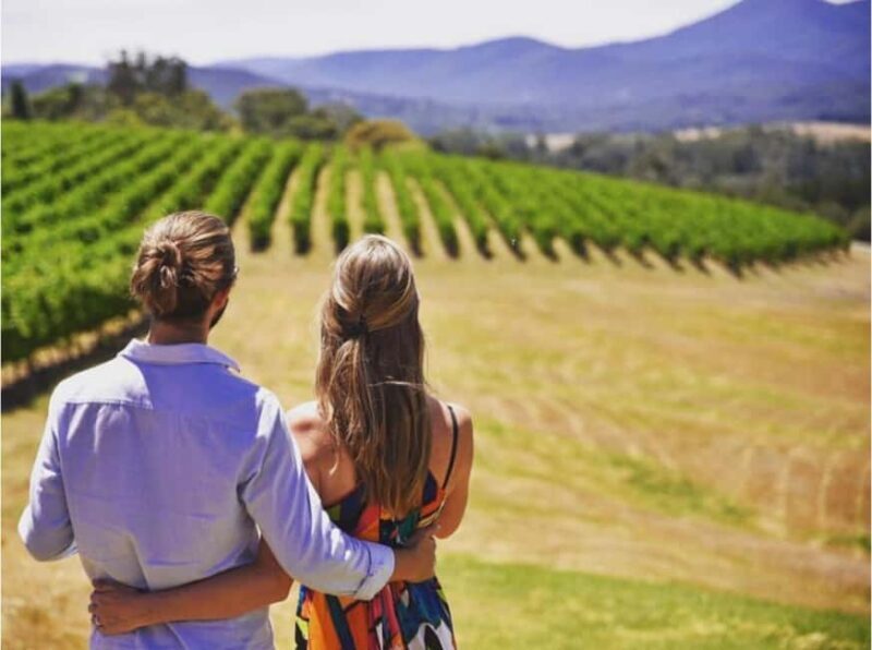 Yarra Valley Foodies Tour with Chandon and Kangaroo Safari! - A Detailed Look at the Yarra Valley Foodies Tour