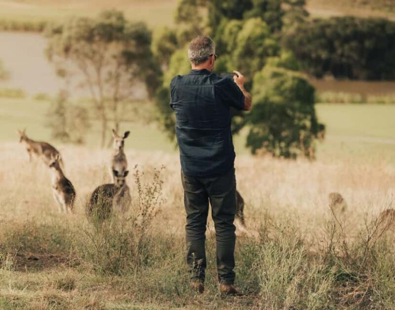 Yarra Valley Foodies Tour with Chandon and Kangaroo Safari! - FAQ