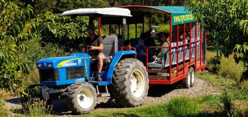 Yarra Valley: Orchard Tractor Tour with Fruit Tasting - What to Expect from the Orchard Tractor Tour