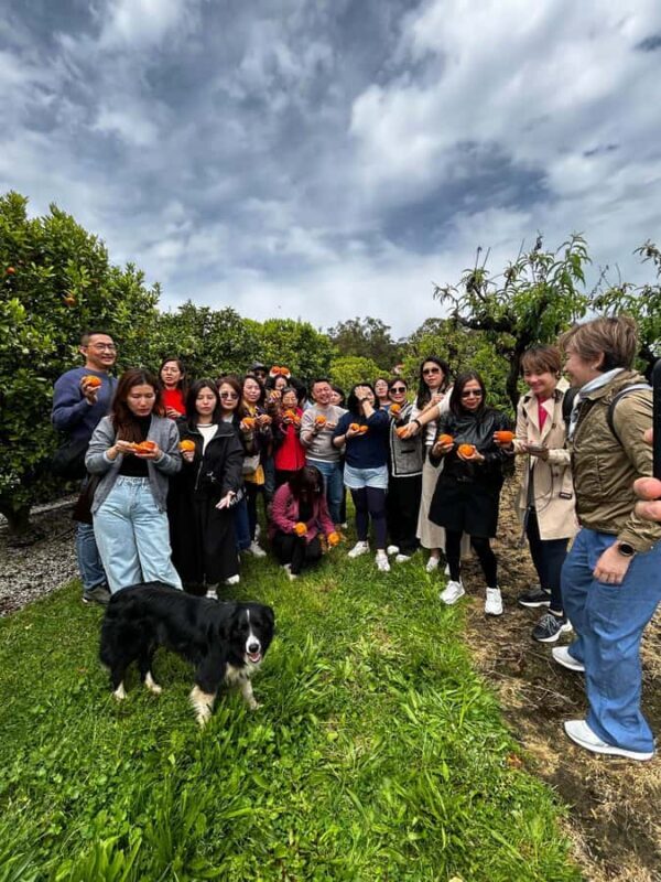 Yarra Valley: Orchard Tractor Tour with Fruit Tasting - Practical Details