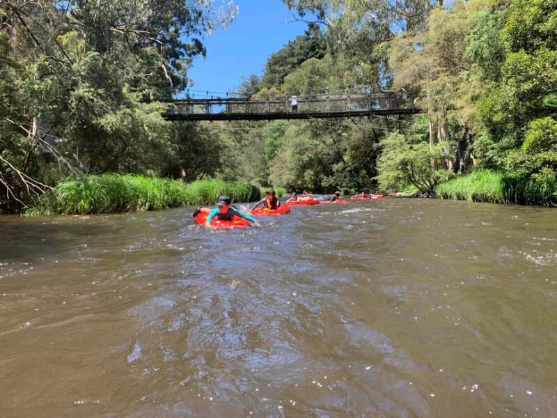 Yarra Valley: Self-Guided River Sledding Adventure - An In-Depth Look at the Experience