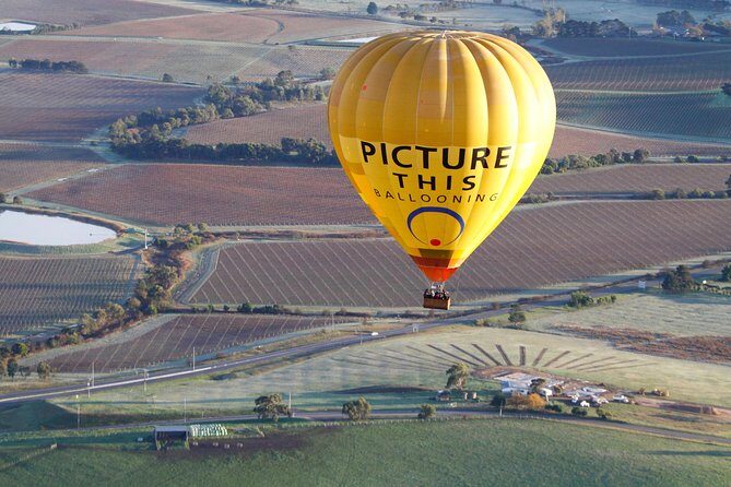 Yarra Valley sunrise balloon flight only - Key Points