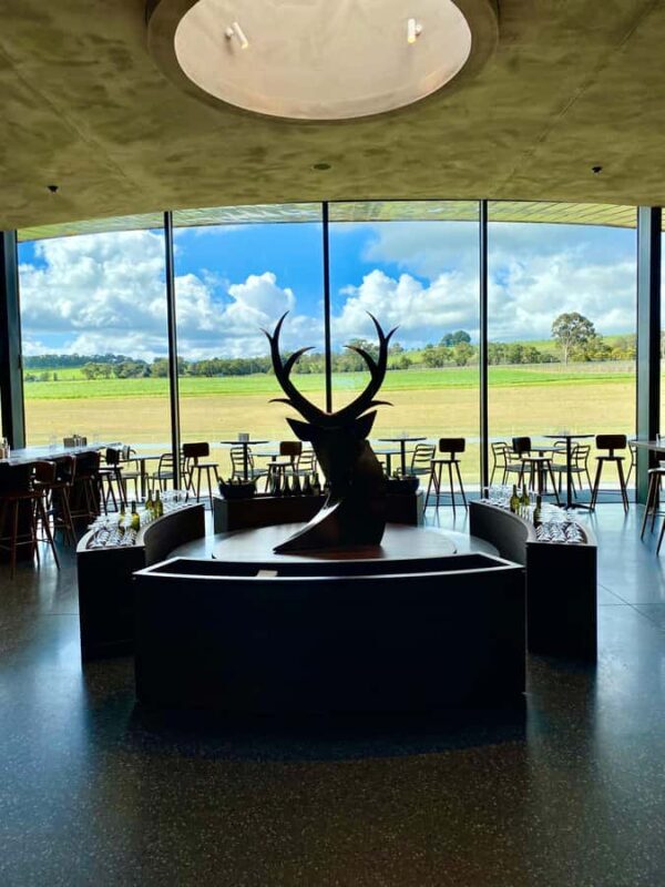 Yarra Valley: Wine and Chocolate tasting tour. - Who Will Love This Tour?