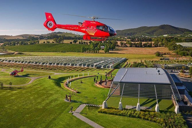 Yarra Valley Wine & Wildlife - Private Regional Tour - Who Is This Tour Best For?