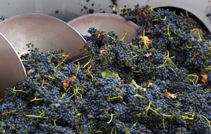Yarra Valley: Winery Tour with Lunch at Yering Station - Authentic Experiences and Guest Perspectives