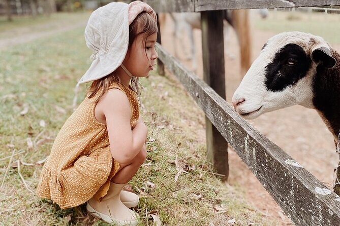 Yarramalong Valley Horse Farm Tours - Key Points