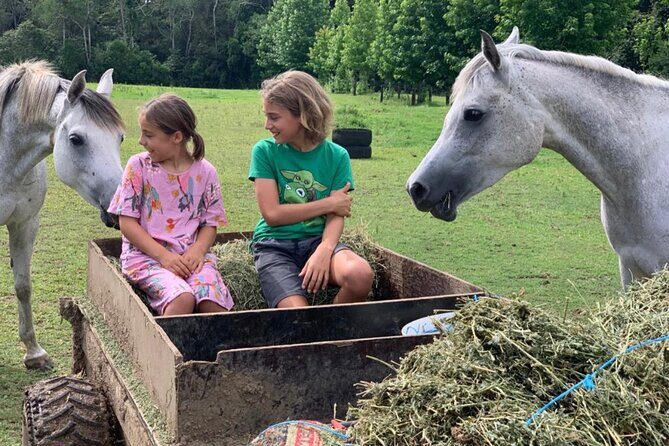 Yarramalong Valley Horse Farm Tours - Who Will Love It?