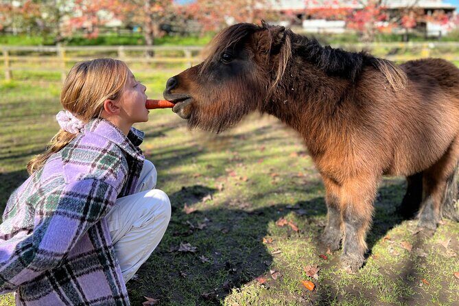 Yarramalong Valley Horse Farm Tours - Final Thoughts: Is This Tour Worth It?