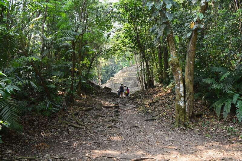 Yaxchilan & Bonampak Ruins and Lacandon Jungle from Palenque - Practical Tips for a Smooth Day