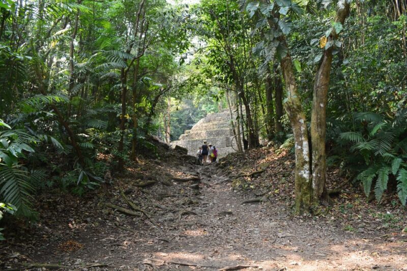 Yaxchilan & Bonampak Ruins and Lacandon Jungle from Palenque - FAQ