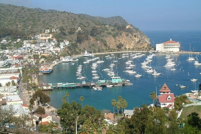 yellow-semi-submarine-tour-of-catalina-island-from-avalon