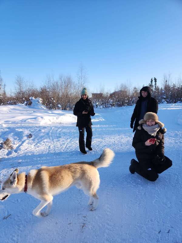 yellowknife-dog-sledding-tour