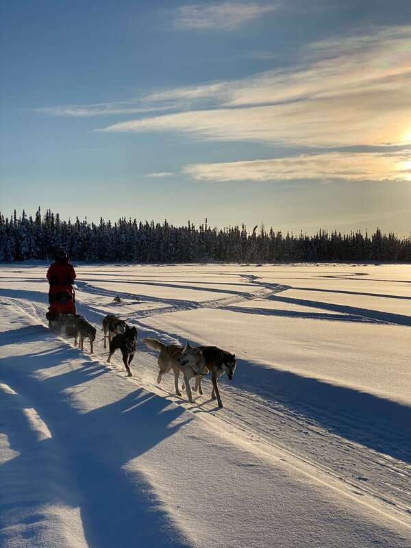 yellowknife-dog-sledding-tour