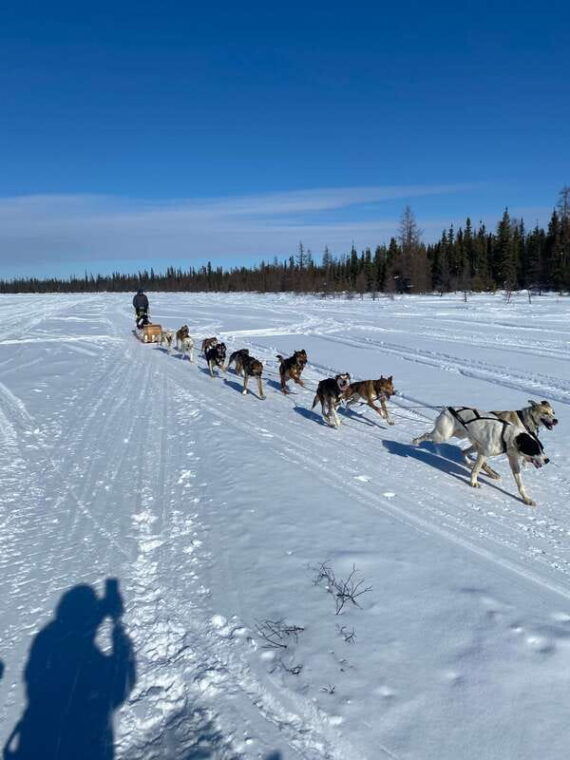 yellowknife-dog-sledding-tour