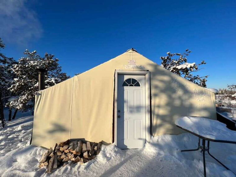yellowknife-dog-sledding-tour