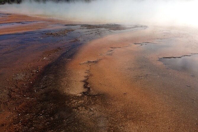 yellowstone-for-kids-family-fun-tour-w-pu-in-west-yellowstone