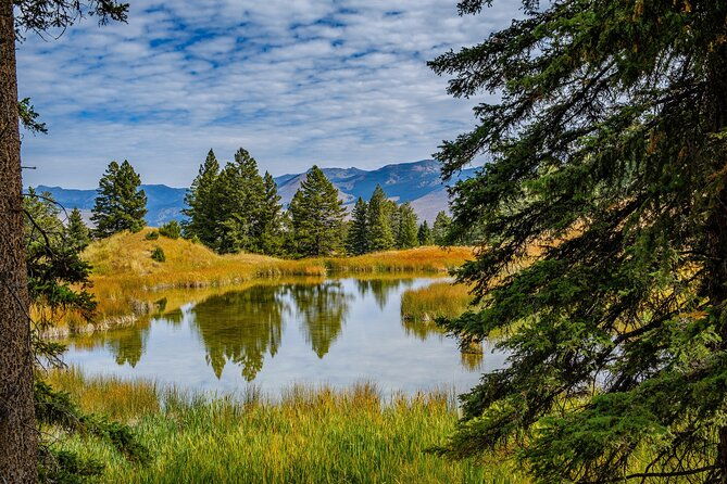 yellowstone-full-day-private-hike-2