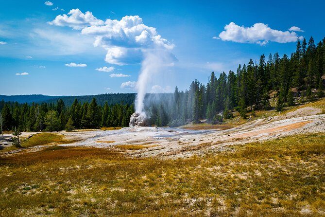Yellowstone Full Day Private Tour - Who Is This Tour Best For?