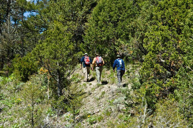 Yellowstone Full Day Private Tour - Final Thoughts