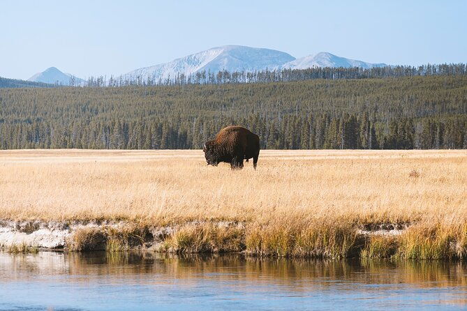yellowstone-full-day-small-group-tour-deep-creek