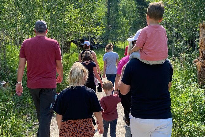 yellowstone-full-day-upper-loop-with-wildlife-adventure-w-lunch-3