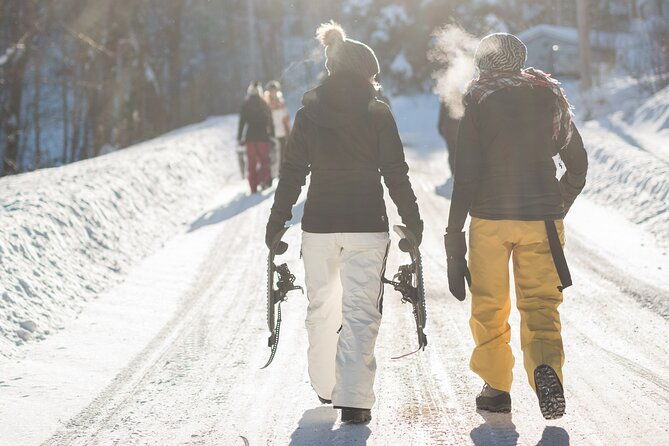 yellowstone-full-day-winter-tour-with-optional-hike-or-snowshoe