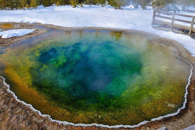 yellowstone-grand-teton-utah-mighty-5-winter-tour-small-group-9-day-tour