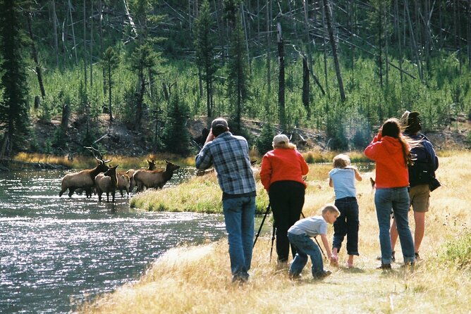 yellowstone-grand-tour-see-all-yellowstone-in-one-day