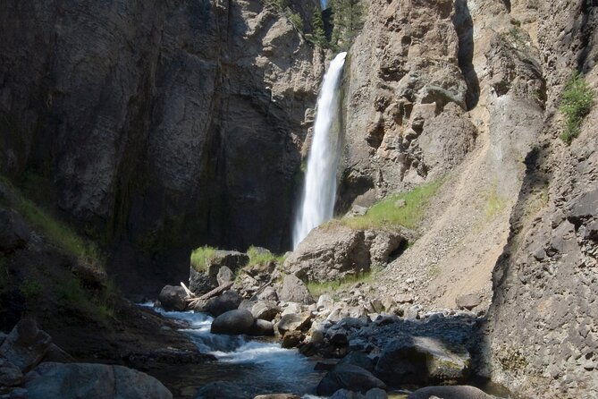yellowstone-in-a-day-wildlife-canyons-hot-springs