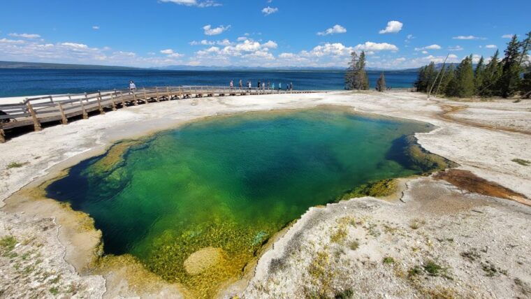 yellowstone-national-park-private-day-tour