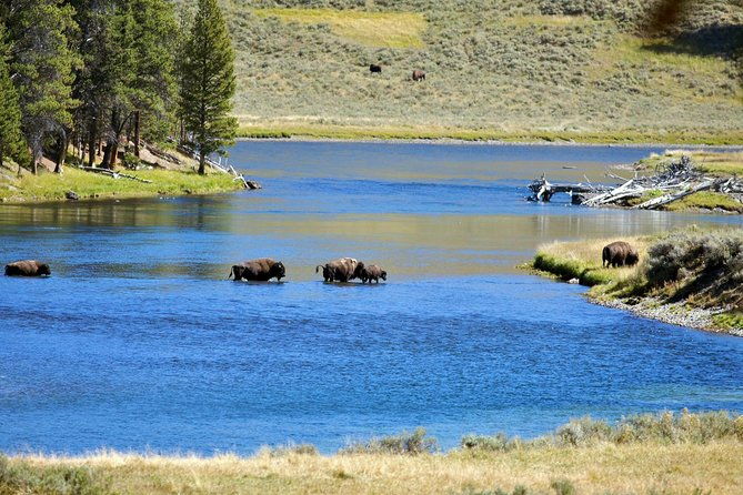 yellowstone-national-park-private-tour-2