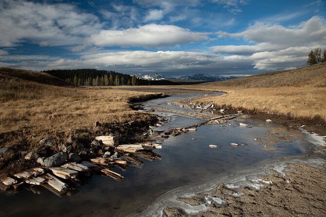 yellowstone-national-park-private-wildlife-tour