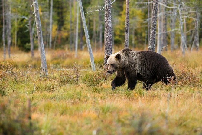 yellowstone-private-full-day-tour-2