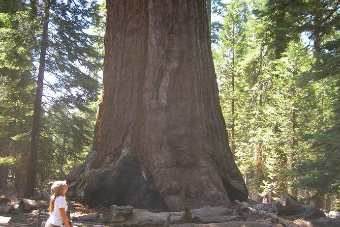 yellowstone-rocky-mountain-and-california-desert-11-day-explorer