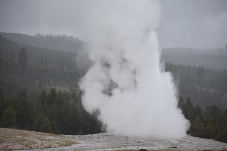 yellowstone-wildlife-tours-from-west-yellowstone-montana