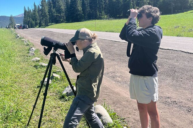 yellowstones-lamar-valley-wildlife-safari-from-paradise-valley