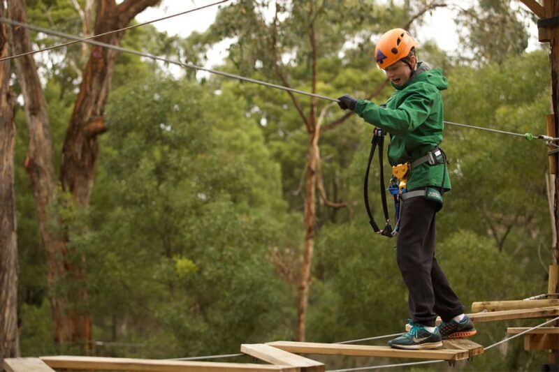 Yeodene: Tree Ropes Courses - An In-Depth Look at Yeodene Tree Ropes Courses