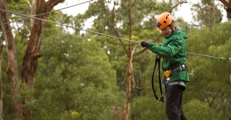 Yeodene: Tree Ropes Courses - The Itinerary and Course Design