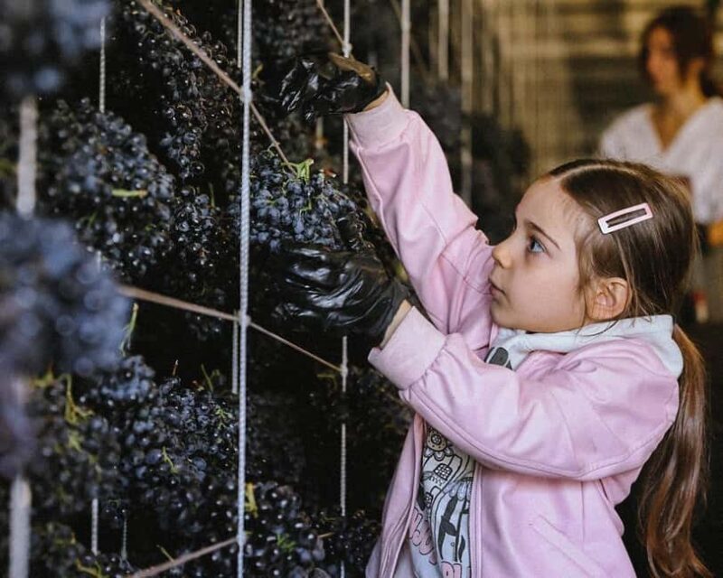 Yerevan: Gevorkian Winery Tour and Tasting Experience - Introduction