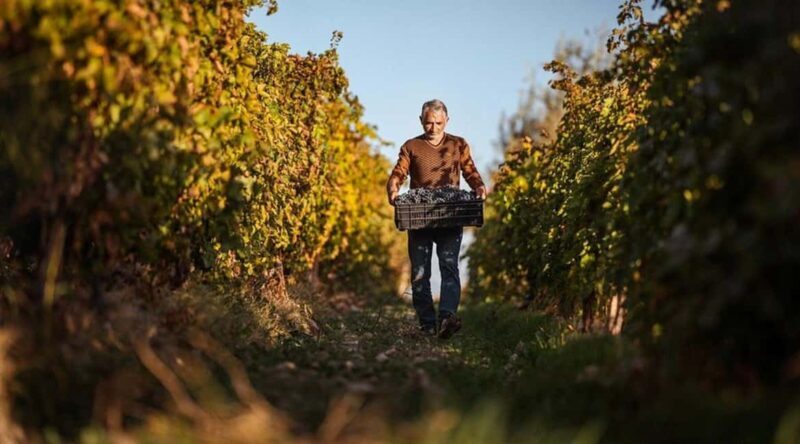 Yerevan: Gevorkian Winery Tour and Tasting Experience - What Makes This Tour Stand Out?