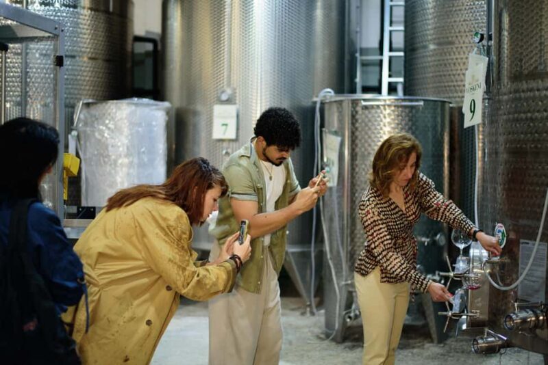 Yerevan: Wine Tasting and Vineyard Lunch at Voskeni Winery - Exploring Voskeni Winery: What You Can Expect