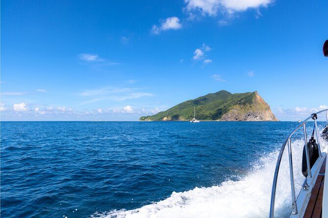 Yilan Day Tour Whale Watching Cruise and Animal Farm - Key Points