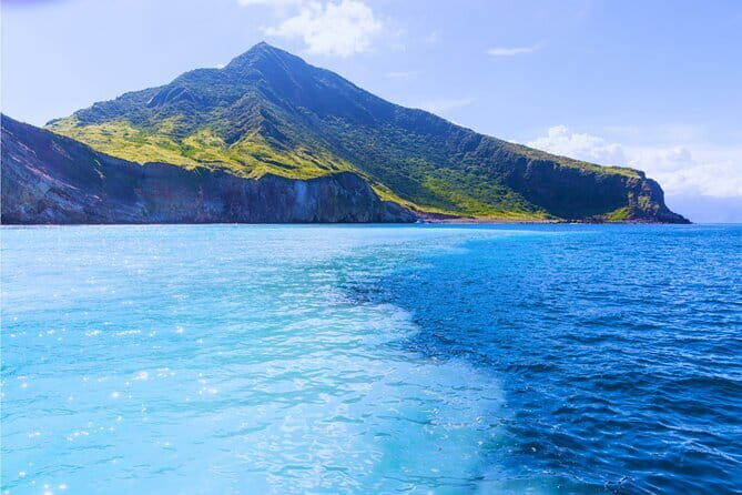 Yilan Whale Watching and Animal Farm Private Tour from Taipei - In-Depth Review of the Experience