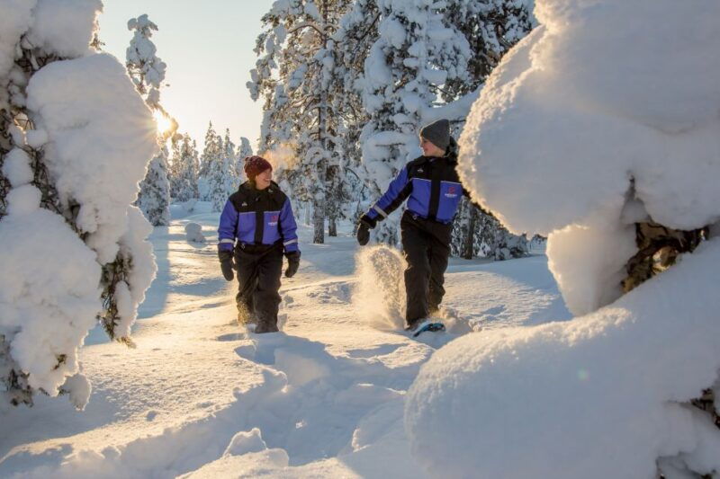yllas-forest-hike-with-snowshoes