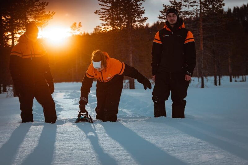 yllas-forest-hike-with-snowshoes