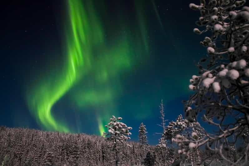 yllas-seeking-northern-lights-photo-tour