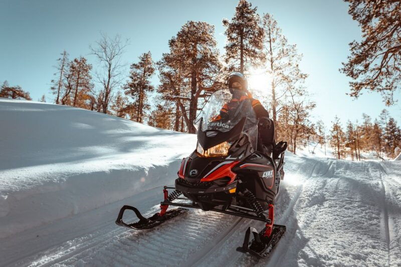 yllas-wilderness-snowmobile-tour